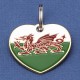 Welsh Flag Heart Pet ID Tag